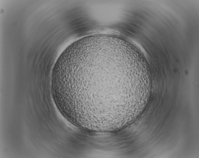 X0000090461483200707130941