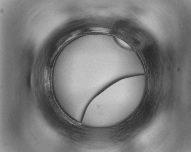 X0000090461487200707130941