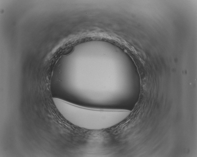 X0000090461495200707130940