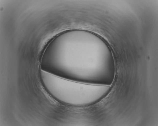 X0000090461507200707130940