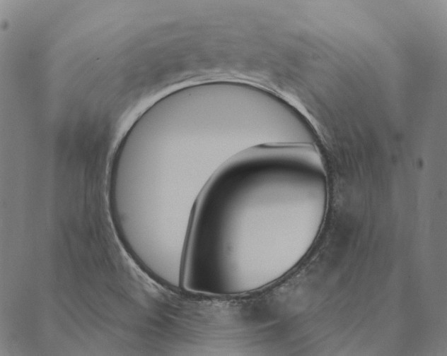 X0000090461508200707130941