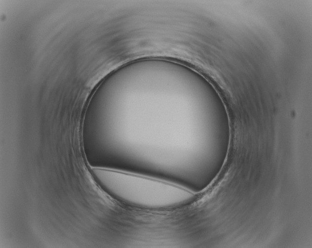 X0000090461513200707130941