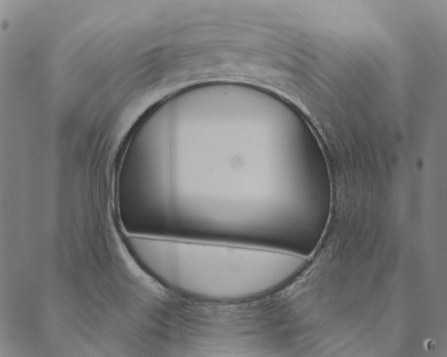 X0000090461515200707130941