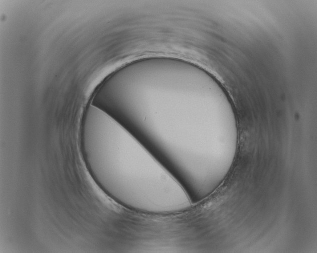 X0000090461523200707130941