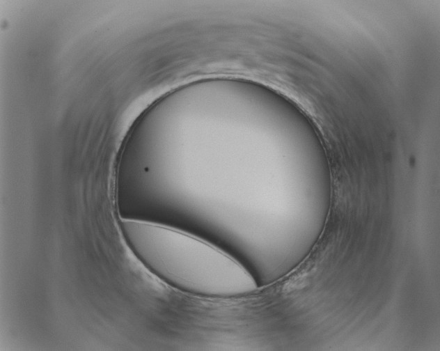 X0000090461527200707130941