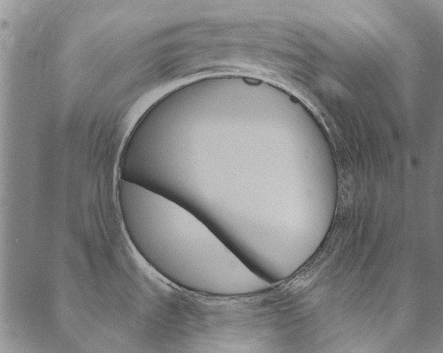 X0000090461535200707130941