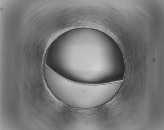 X0000090461536200707130941
