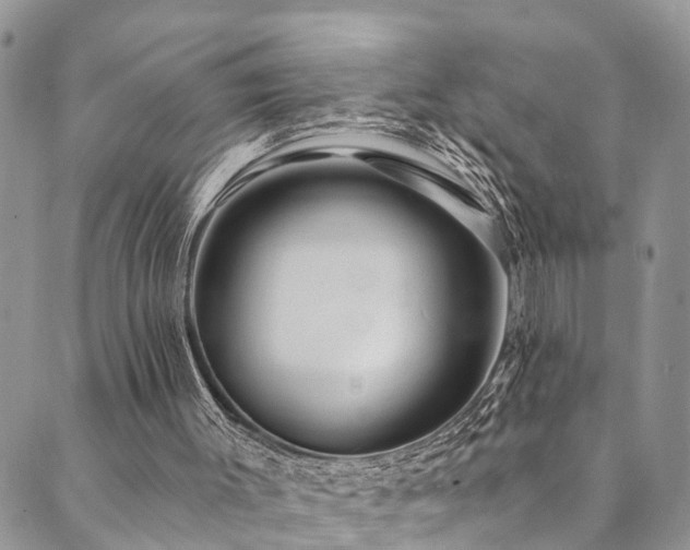 X0000090460003200707131305