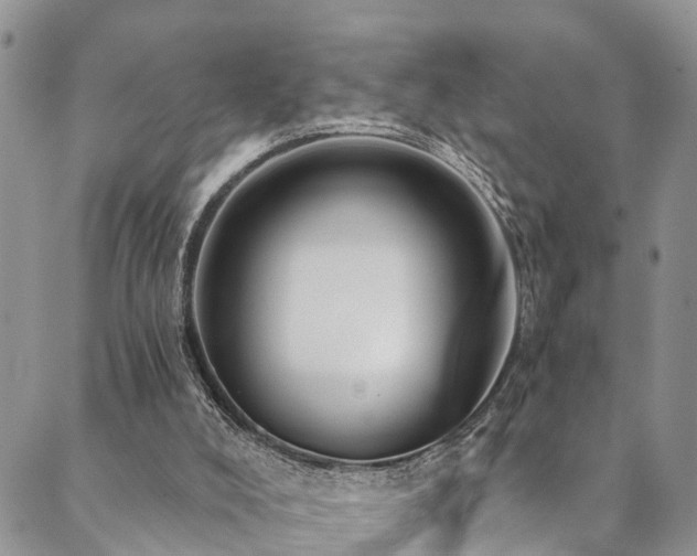 X0000090460008200707131305