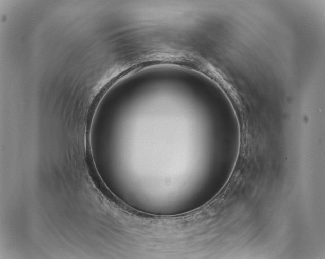 X0000090460011200707131305