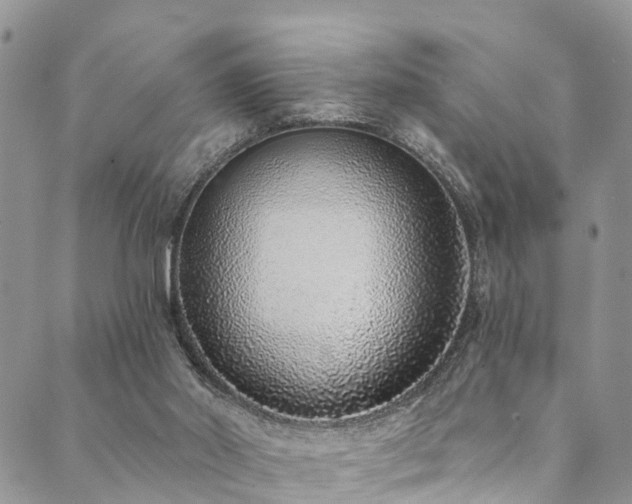X0000090460014200707131305