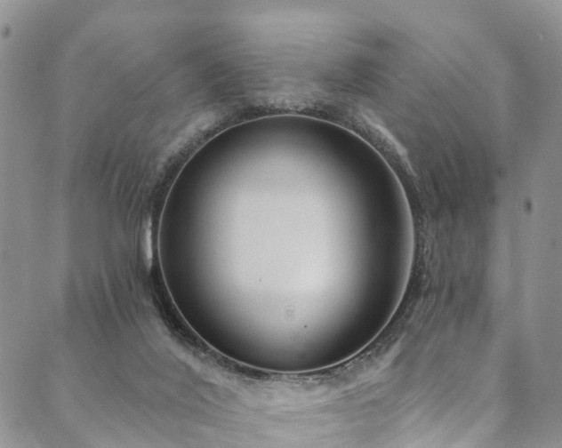 X0000090460020200707131305