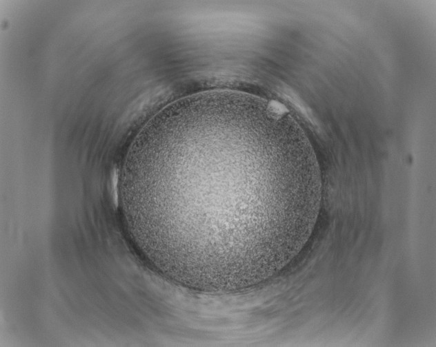X0000090460022200707131305