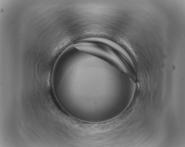 X0000090460023200707131305