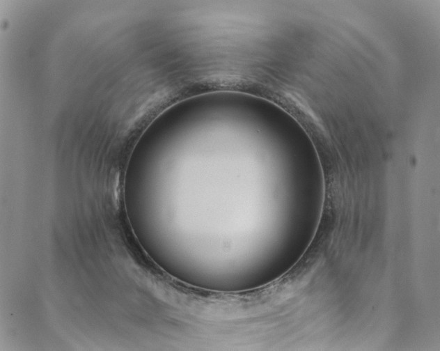X0000090460024200707131305