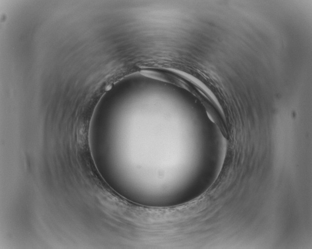 X0000090460037200707131304