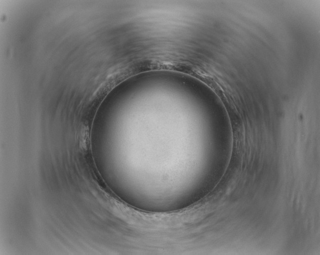 X0000090460038200707131304