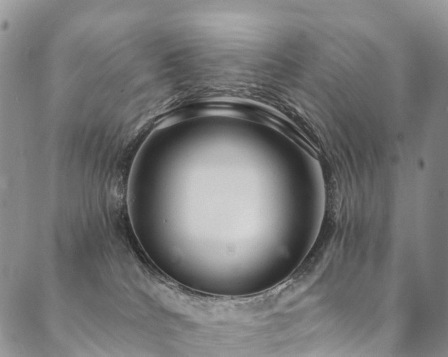X0000090460040200707131304