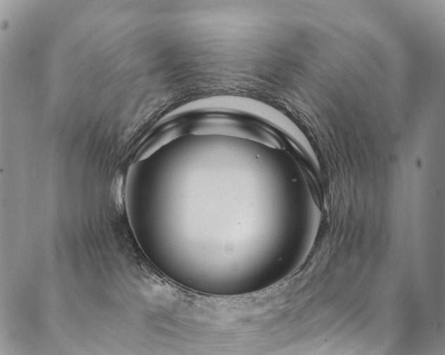 X0000090460041200707131304