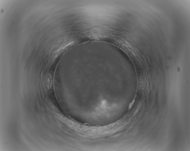 X0000090460043200707131304