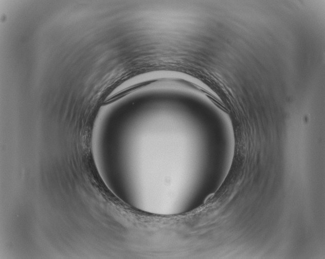 X0000090460044200707131304