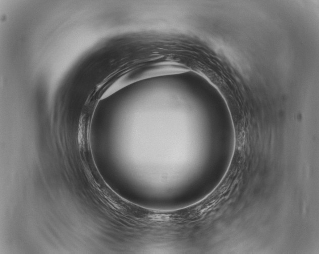 X0000090460052200707131303