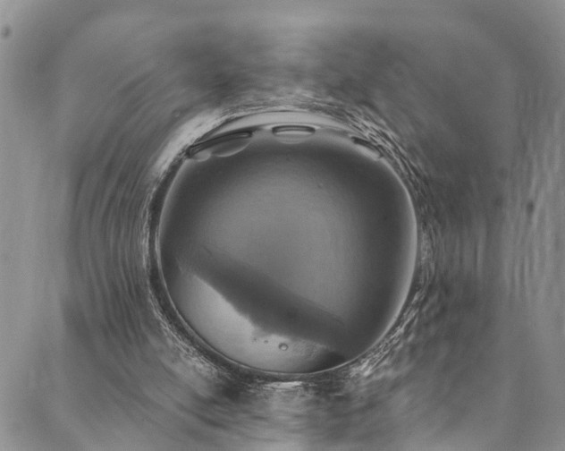 X0000090460054200707131303