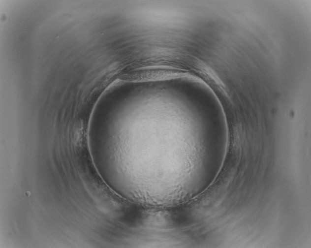 X0000090460073200707131304