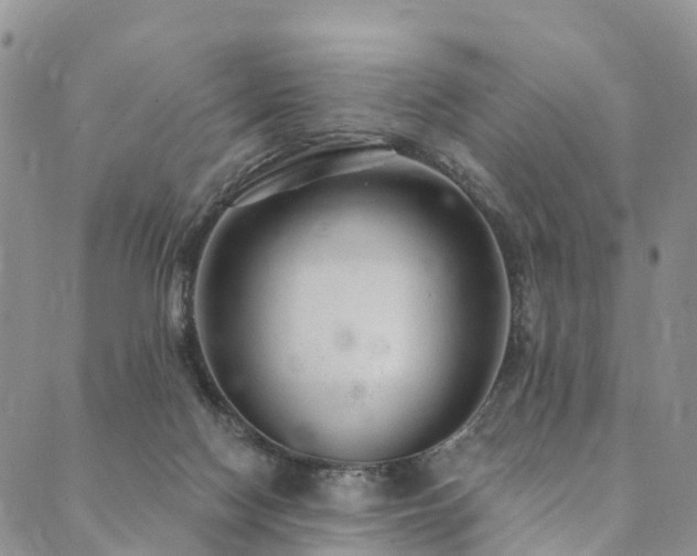 X0000090460074200707131304