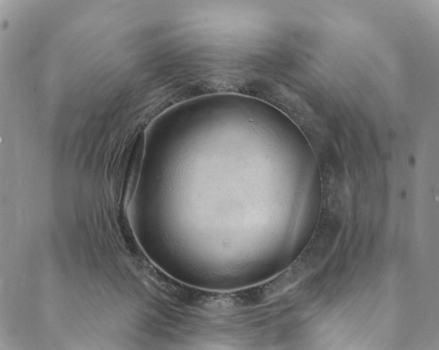 X0000090460075200707131304
