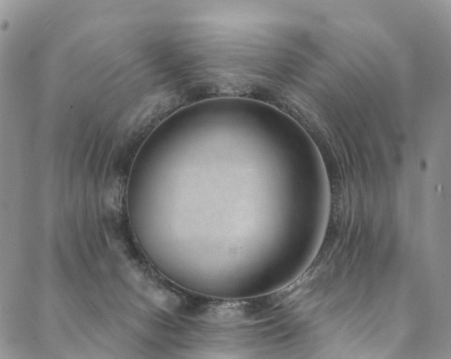 X0000090460078200707131304