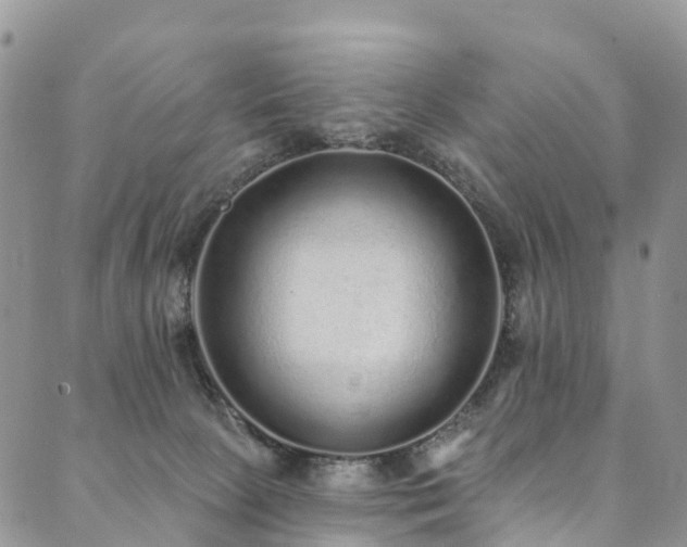 X0000090460081200707131304