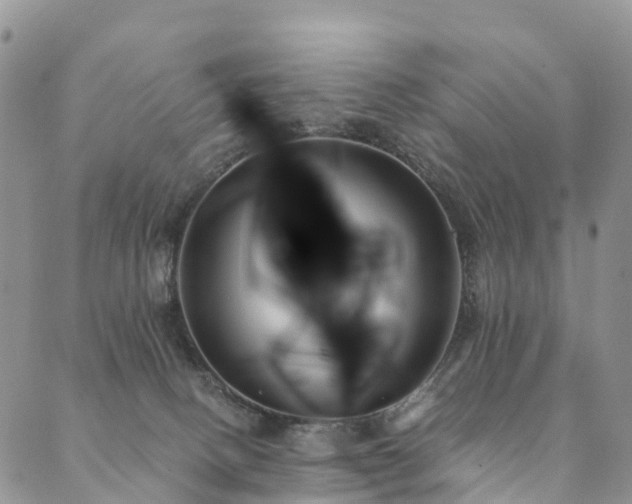 X0000090460082200707131304