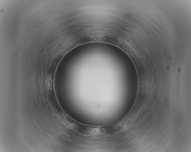 X0000090460083200707131304