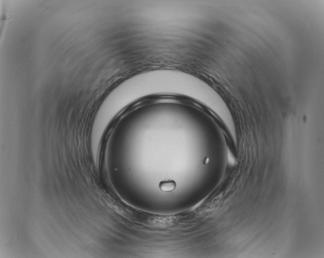 X0000090460084200707131304