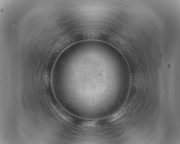 X0000090460086200707131304