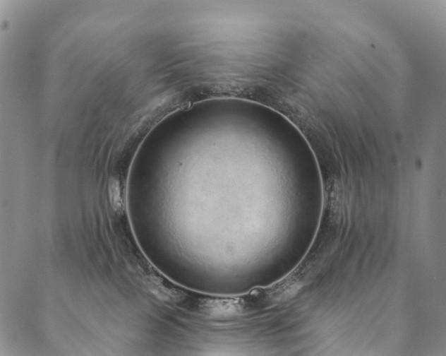 X0000090460089200707131304