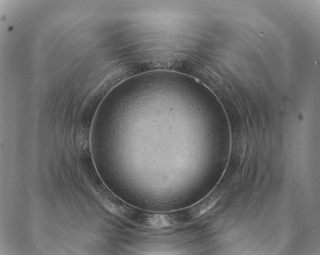 X0000090460091200707131304
