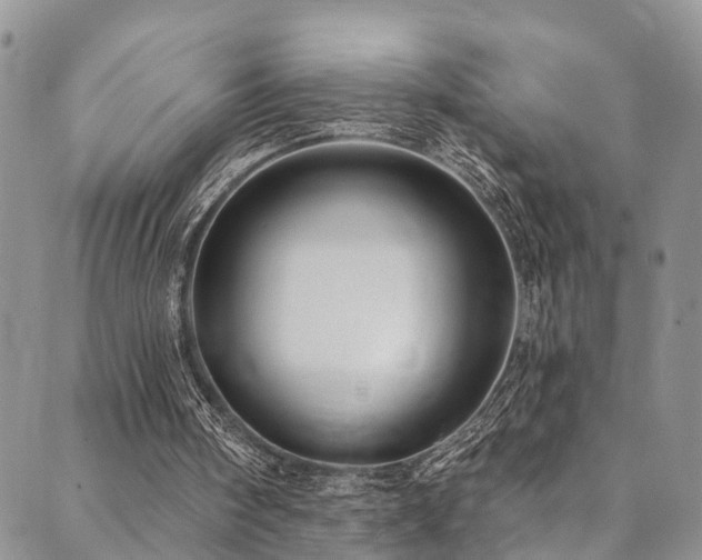 X0000090460098200707131303