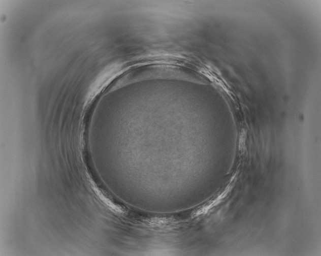 X0000090460101200707131303