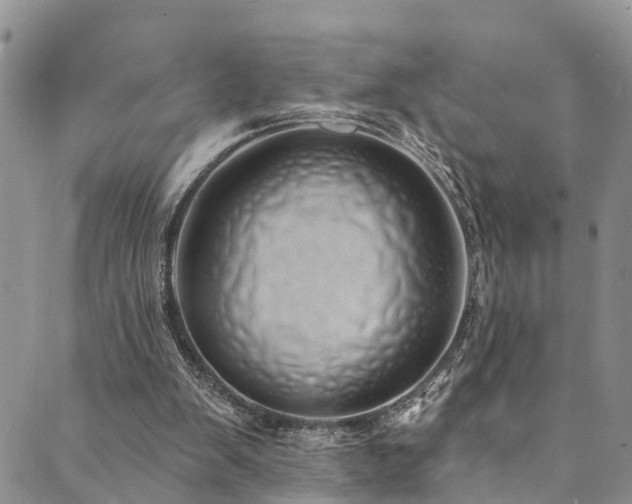 X0000090460103200707131303