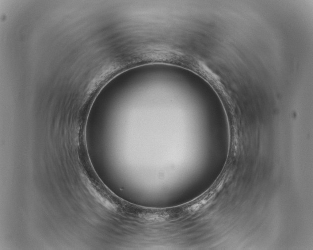 X0000090460106200707131303