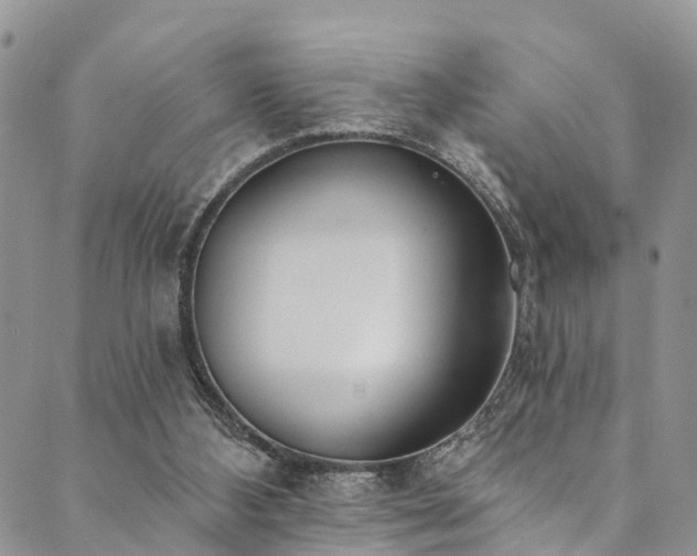 X0000090460108200707131303