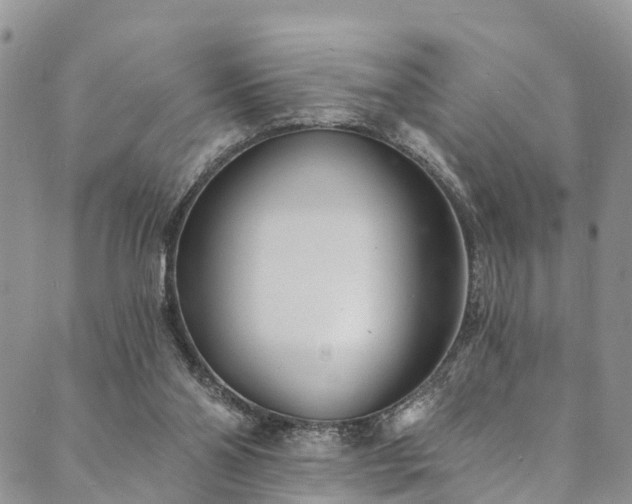 X0000090460110200707131303