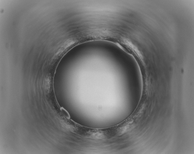 X0000090460113200707131303
