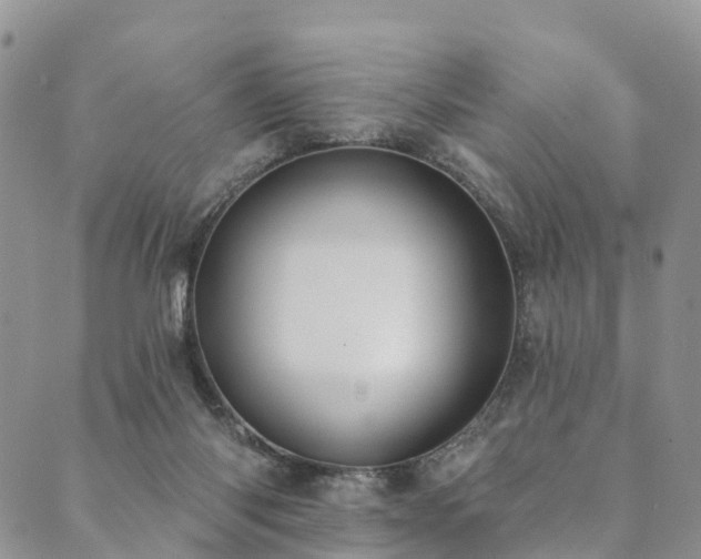 X0000090460118200707131303