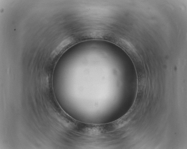 X0000090460120200707131303