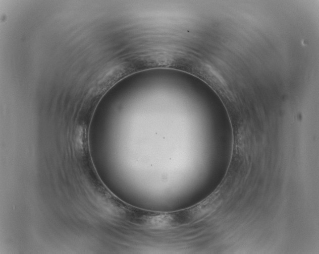 X0000090460122200707131303