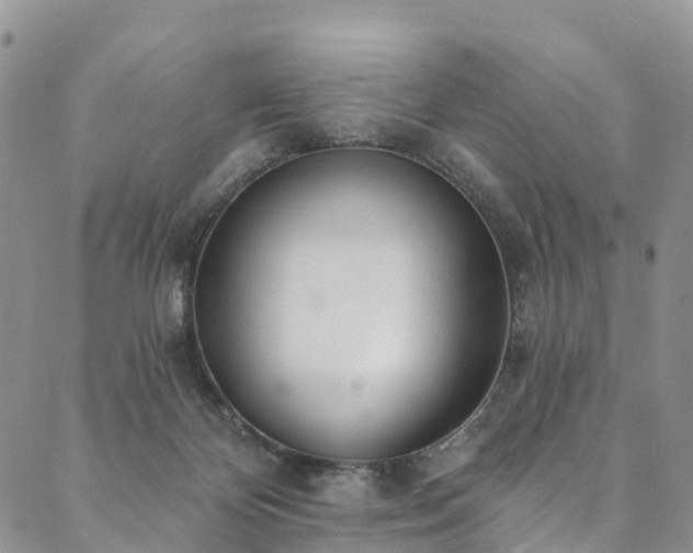 X0000090460124200707131303