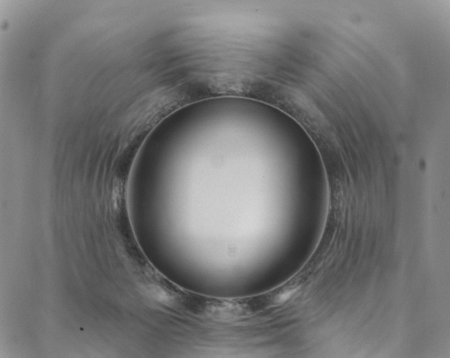 X0000090460125200707131303